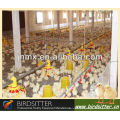 hottest sale broiler and breeder use chicken feed house